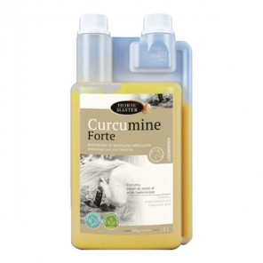Horse Master Curcumine forte 1L