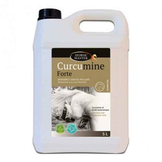 Horse Master Curcumine forte 5L