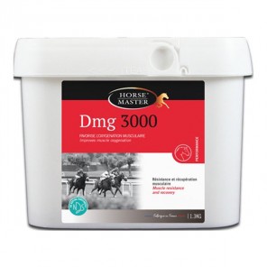 Horse Master DMG 3000 - 1,3kg