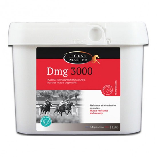 Horse Master DMG 3000 - 1,3kg