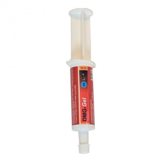 Horse Master DMG seringue gel 60ml