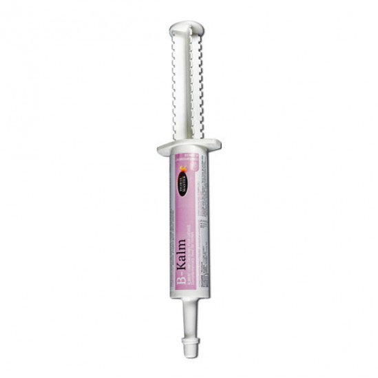 Horse Master B-Kalm pâte orale 30ml