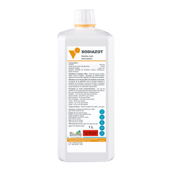 Sodiazot solution buvable 1L
