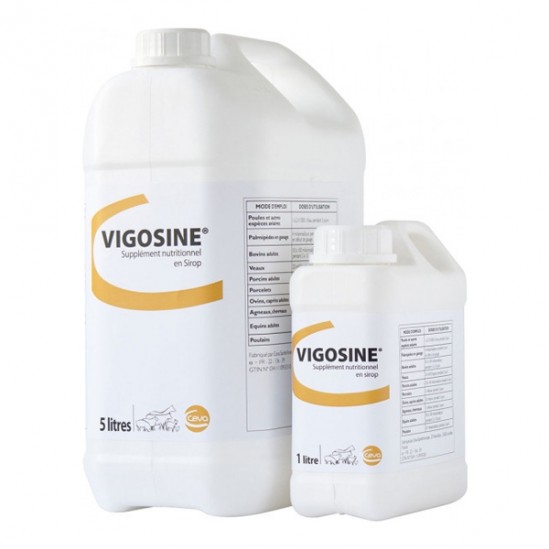 Ceva Vigosine 1L