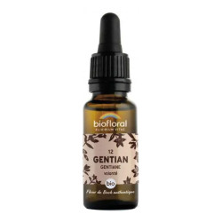 Biofloral Fleurs de Bach 12 Gentiane bio 20ml