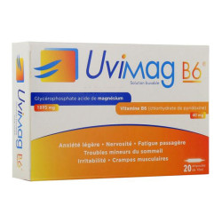 Uvimag B6 solution buvable 20 ampoules de 10ml