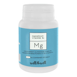 Well & Well Mg/90 Magnesium VitB6 - 90 comprimés sécables