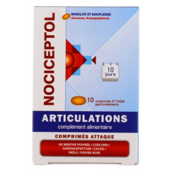 Nociceptol Articulations 10 Comprimés