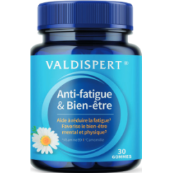 VALDISPERT - ANTI FATIGUE 30 GOMMES