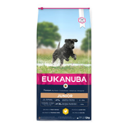 Eukanuba chien grande race croquettes au poulet frais 12kg