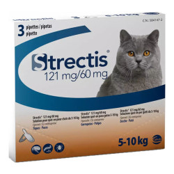 Ceva Strectis 121mg/60mg chat 5 à 10kg spot-on 3 pipettes