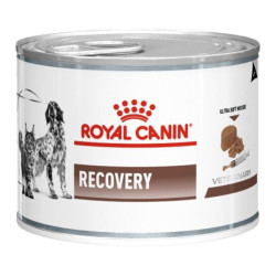 Royal Canin Recovery chien et chat mousse 12 x 195gr