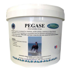 Laboratoire Sennecq Bonne Pegase seau de 25kg