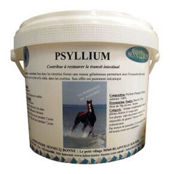 Laboratoire Sennecq Bonne Psyllium graines 100% pure 1,2kg