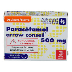 Paracetamol arrow 500mg 16 comprimés